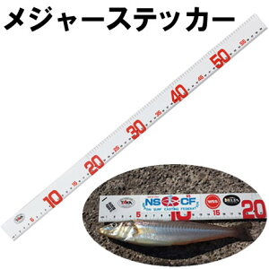 y9/4 20:00` Gg[ōő6000PIz ^JY W[XebJ[ 60cm V-31 (K W[ V[  XebJ[)