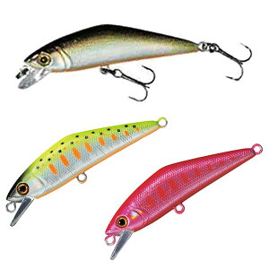 X~X D-R^Ng50 2 (gEg k A[j 䂤pPbg