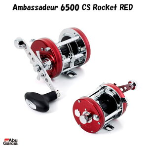 AuKVA AoT_[ 6500CS Pbgbh (A[ xCg[)