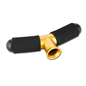 At@^bN T-BAR fJAe GOLD