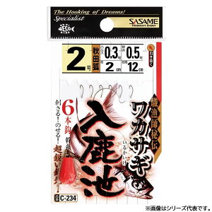 ߐj JTM r (Hc) C-234 (JTM d|) 䂤pPbg