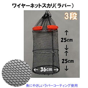 }V C[lbgXJ 3i 36cm (o[lbg t[gt rN  )