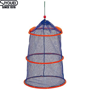 h ۃbVrN 3i 36cm No.663 (XJ rN)