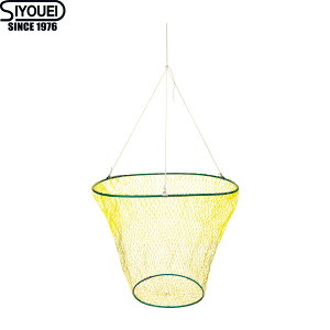 h Ƃ 50cm No.462 (^ fBOlbg)