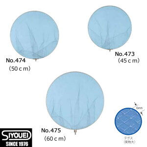 h eOX A~g 50cm No.474 ( ^g ^ )