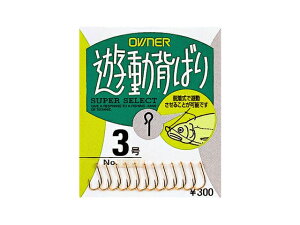 I[i[ Vw΂AS|12 (wj) 䂤pPbg