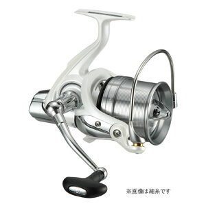 _C 17 EChT[t35  (ނpXsjO[)