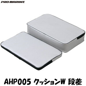 y9/4 20:00` Gg[ōő6000PIz lc NbVW i AHP005 (wNbV ւNbV) (ނjsFwst