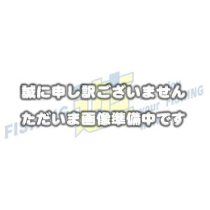 y11/20` Gg[3_P10{z@V}m GAT[xCgXeX t@CAbh CS-132N (GT)