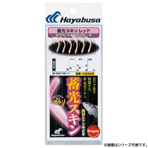 y11/20` Gg[3_P10{z@nuT ~XL hAWܖڃbh HS400 (TrLd|EWOTrL) 䂤pPbg