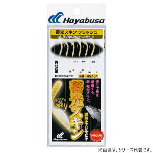 nuT ~XLTrL (hAWܖ)tbV HS401 (TrL d|) 䂤pPbg