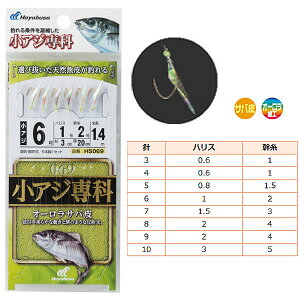 nuT AW I[To HS069 (TrL d|) 䂤pPbg