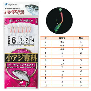 nuT AW I[sNXL HS185 (TrL d|) 䂤pPbg