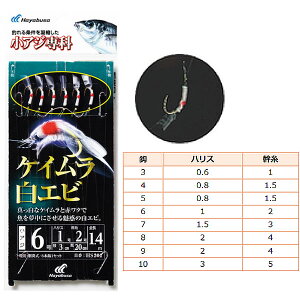 nuT AW PCGr HS202 (TrL d|) 䂤pPbg