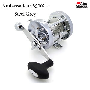 AuKVA AoT_[ 6500CL XeB[OC (xCgLXeBO[)