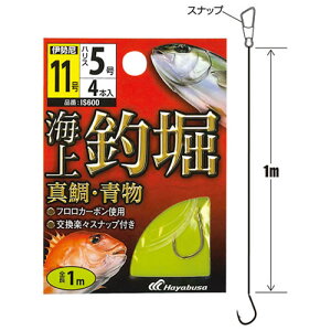 nuT Cޖx t ^E IS600 (tj) 䂤pPbg