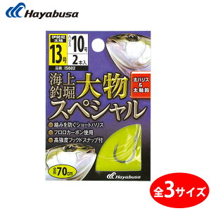 nuT Cޖx t 啨XyV IS602 (tj) 䂤pPbg