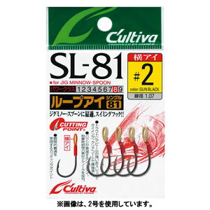 I[i[ [vACVO81 SL-81 (A[tbN) 䂤pPbg