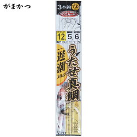 楽天市場 真鯛 仕掛け 船釣りの通販