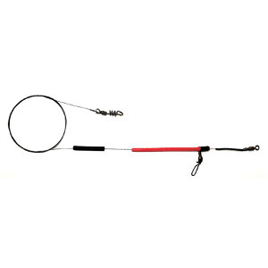 Kc Α␣Yd| V 809 (Αނ )