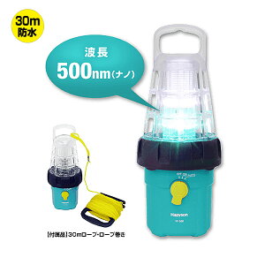 ns\ drLEDW YF-500 (W Cg)