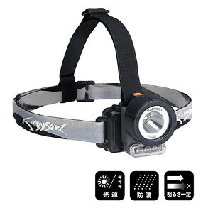 ns\ 2WAYELEDwbhv YF-243B (wbhCg wbhv)