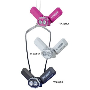 ns\ `FXgCg CeBC YF-200B (Cg ns\)