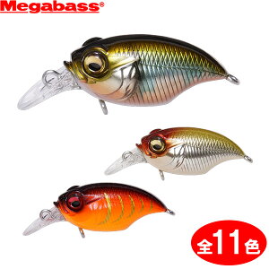 KoX OtH xCgtBlXSR-X (ubNoXA[) 䂤pPbg