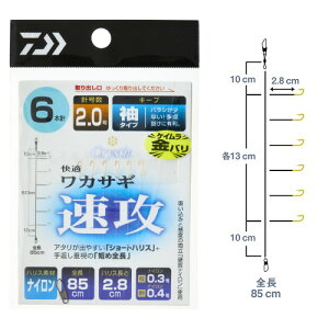 _C KJTMd|KKU L[v 6{j (JTM d|) 䂤pPbg