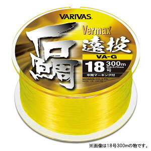 ooX o[}bNXΑ≓ 300m tbVCG[ 22 VA-G (iCC)