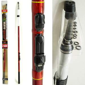 i THEhgSP 2-450 (g~ )