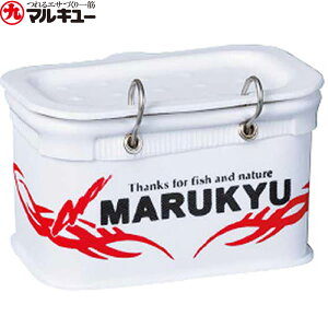 y11/20` Gg[3_P10{z@}L[ p[GToPbg 11TR3 (GT TVGobJ)