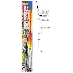 ߐj CޖxZbg p b13 nX8 T-491