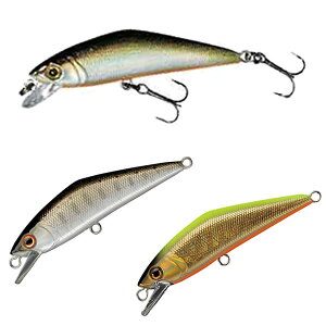 X~X D-R^Ng50 1 (gEg k A[j 䂤pPbg