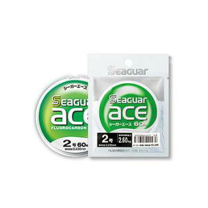 Nn V[K[G[X 60m (0.3`1) 䂤pPbg