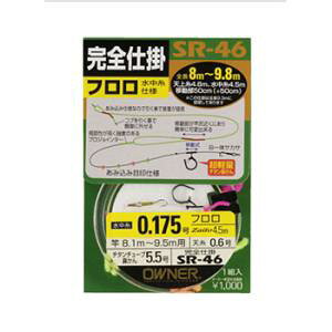 I[i[ VړSd| tdl SR-46 ( Sd| t) 䂤pPbg