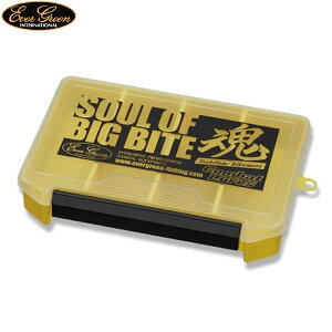 Go[O[ Ci[{bNX St[ERobgA[Y (^bN{bNX ^bNP[X)