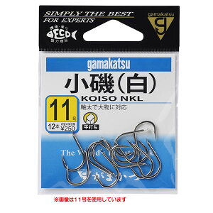 ܂   12248 (b) 䂤pPbg