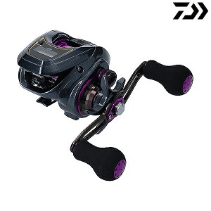 _C 19 CgSW X IC L nh (芪[ [)