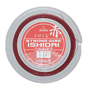 ޕ XgOC[Α 100m  (C[nX)