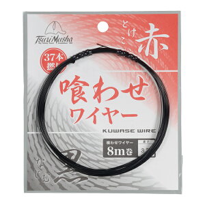 ޕ 킹C[Α 8m  (C[nX)