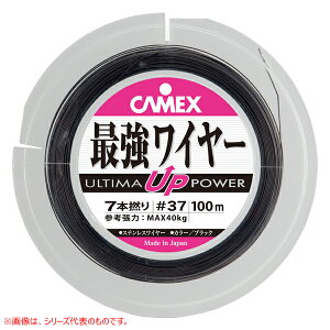 ޕ ULTIMAŋC[ 19{Q #36 BK (C[nX)