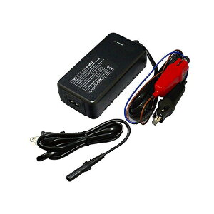 BMOWp 6.6Ahp`[W[ 10C0006 ([d obe[`[W[)