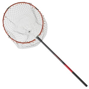 lc v} fBO`kZbg 165RD (ʖԃZbg)