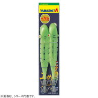 ヤマリア エサ巻テーラ 鉛なし (イカ釣り針) ゆうパケット可