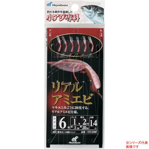 nuT AW AA~Gr HS200 (TrLd|EWOTrL) 䂤pPbg