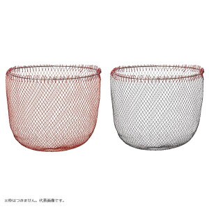 _C ֖Ԑ 40 (ʘgE֖ fBOlbg)