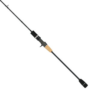 y11/20` Gg[3_P10{z@eCEH[N TN}XWO SSD C650 (WMObh)