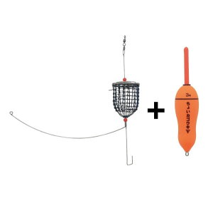 ތ CgJSZbg 6Zbg (ʃEL)