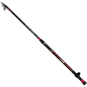 F-STEP Cޖx REDX^C 300 ()